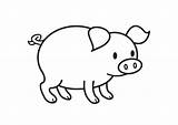 Coloring Pages Pig Para Animales Dibujos Schwein Varken Kleurplaat Colorear sketch template