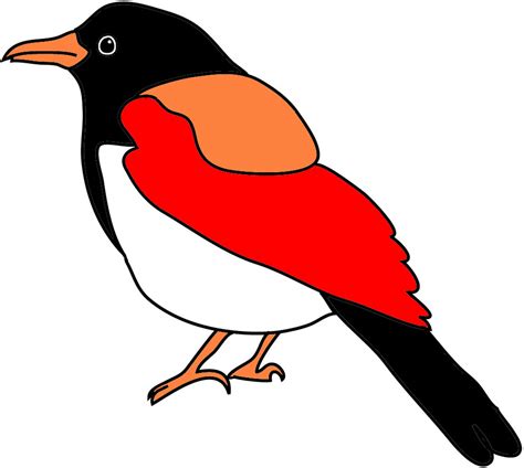colorful bird clipart   cliparts  images  clipground