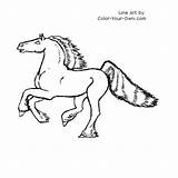 Prancing Friesan Coloring Horse Pages Index Own Color sketch template