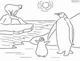 Habitats Ecosistemas Artico Terrestres Sheets Antarctic Biopedia Arctic Penguins Sabana sketch template