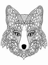 Fox Animals Head Coloring Beutiful Pages Adults Justcolor Nature sketch template