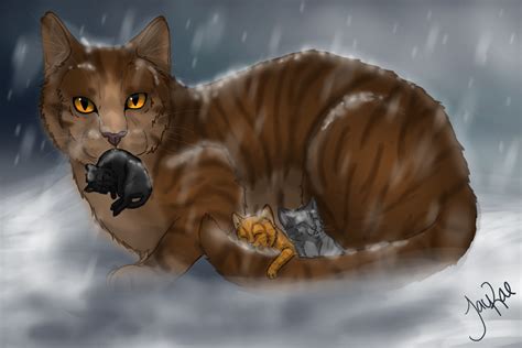 leafpool  complete guide  sorrelpaw blogclan