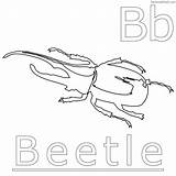 Coloring Beetle Darkling Pages Beetles Coloringbay sketch template