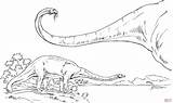 Diplodocus Dinosaur Coloring Sauropod Pages Printable Color Gif Super sketch template