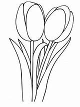 Tulip Coloringme sketch template