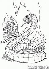 Serpente Serpiente Gigante Mostri Cattivi Monstruos Marinos Serpent Monstros Caza Caccia Snake Gremlins Chasse Marinhos Drago Monstres Colorkid Riesenschlange Marins sketch template