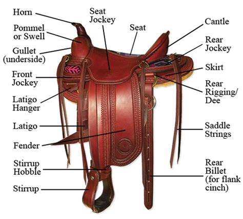 parts   saddle synergist saddles
