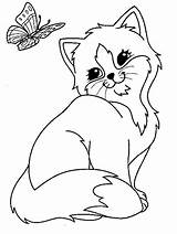 Gatitos Tiernos Colorear Gato Cats Frank Butterfly sketch template