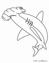 Hammerhead Mako Martillo Requin Hellokids Marteau Tiburon Colorier Soar Tiburones Designlooter Línea sketch template