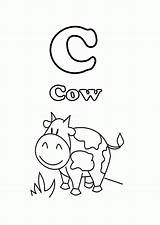 Cow Coloring Letter Pages Printable Start Print Library Clipart sketch template