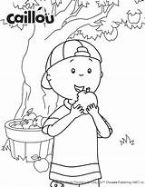Caillou Coloring Apple Picking Pages Sheet Fun Printables Fall Getdrawings Activities sketch template