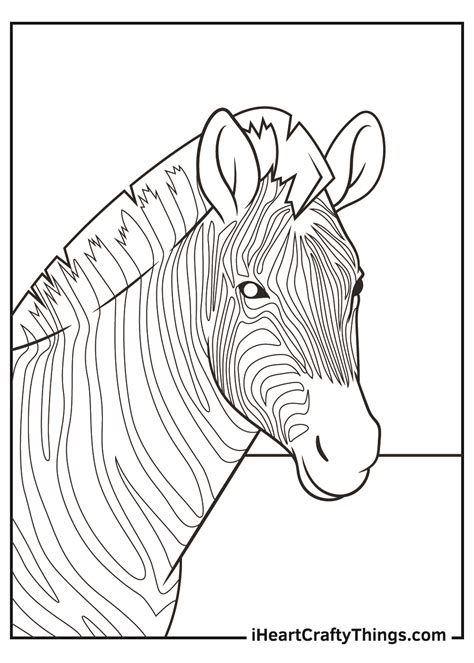 animal taxonomy coloring pages printable