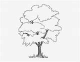 Jungle Coloring Trees Pages Tree Drawing Easy Embroidery Stuff Pngkey sketch template