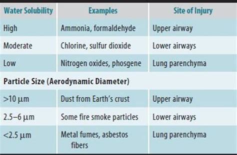 Occupational Lung Diseases Occupational Illnesses Current