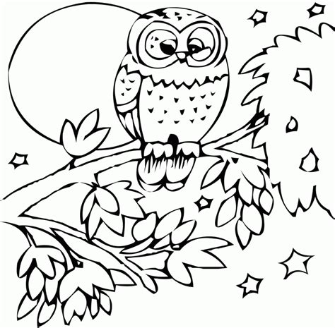animal coloring pages  kids  print  coloring pages