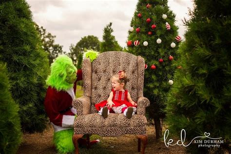 a photographer staged a grinch themed holiday photo shoot and it does