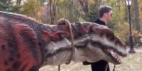 guy walks  pet dinosaur  central park    huffpost