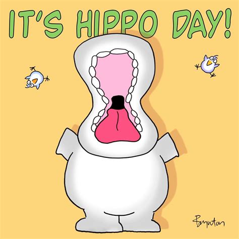 february   year  national hippo day baby hippo hippo