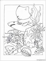 Coloring Marine Pages Lion Sea Corps Getcolorings Printable Life sketch template