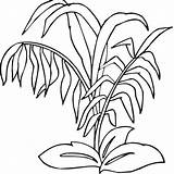 Coloring Plants Pages Rainforest Jungle Ocean Drawing Plant Sea Grass Underwater Trees Getcolorings Bamboo Realistic Printable Getdrawings Color Print Inspiring sketch template