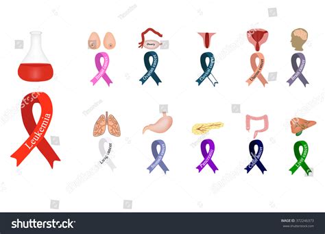 Cancer Ribbon Set Ribbons Different Colors Stock Vector