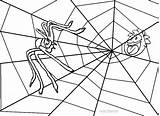 Spider Web Coloring Pages Printable Print Cool2bkids Getcolorings Color sketch template