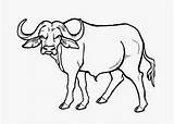 Coloring Pages Carabao Printable Getcolorings Buffalo Beautiful sketch template