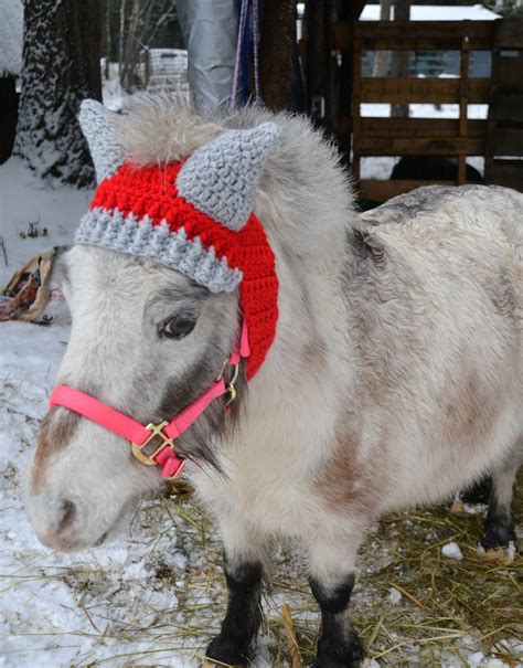 crochet pattern mini horse ear warmer horse hat ear muffs etsy