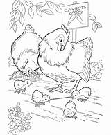 Coloring Chicken Pages Farm Animal Chickens Kids Printable Sheets Bird Early Cute Worm Gets Sheet Honkingdonkey Colouring Adult Color Print sketch template