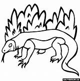 Komodo Dragon Coloring Pages Online Colouring Thecolor Color Fantasy Printable Clip Designlooter Use Activities Clipart 565px 33kb Zoo Rated Top sketch template