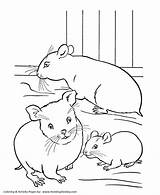 Coloring Hamster Pages Pet Hamsters Sheets Pets Printable Kids Cage Honkingdonkey Color Coloriage Activity Imprimer Print Family Cute Activities Popular sketch template