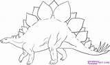 Dinosaurs Stegosaurus Cliparts Stuff Sketching sketch template