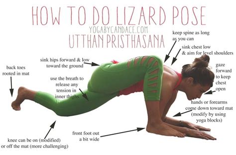 lizard pose alignment yoga fitness yoga yoga poses