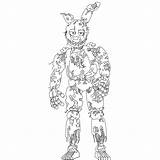 Springtrap Freddy Trap Bonnie Colouring Chica Freddys Springbonnie Withered 그림 sketch template