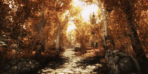 remarkable animated fall nature gifs   animations