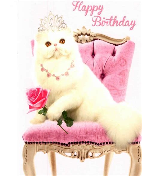 Princess Pussy Cat Happy Birthday Greeting Card Cards