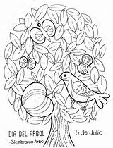 Coloring Pages Colorear Para Del Dibujos Julio Tree Arbol Dia March Día árbol Material Choose Board Printable Color sketch template