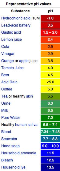 Is Alkaline Food Really Good For You