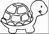 Hare Drawing Tortoise Line Coloring Getdrawings sketch template