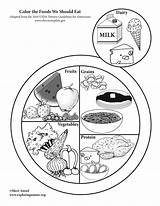 Food Plate Drawing Eat Coloring Myplate Should Pages Foods Healthy Eating Drawings Activity Color Template Paintingvalley Nutrition sketch template