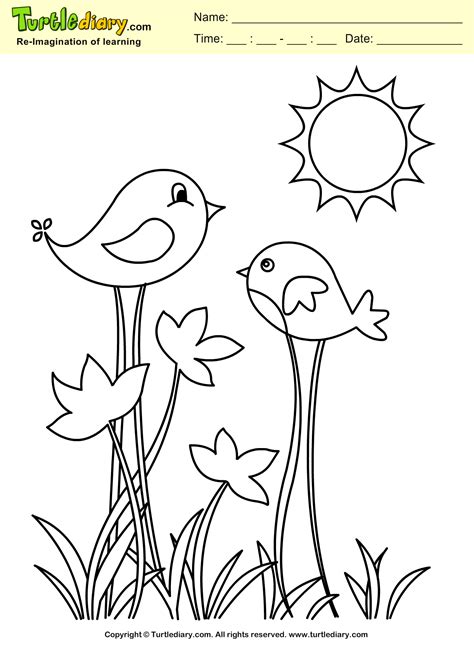 spring bird coloring page coloring sheet bird coloring pages bird