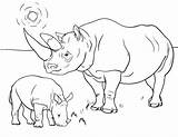 Rhino Rhinoceros sketch template