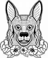Coloring Pages Dog Adult Dogs Adults Skull Print Animal Printable Labrador Book Head Colouring Georgia Sugar Sheets Puppy Drawings Drawing sketch template