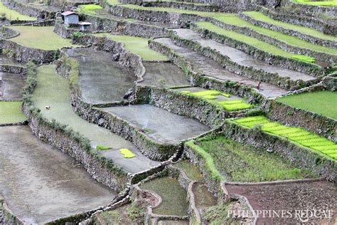 Almost Surreal Banaue And Batad Rice Terraces Philippines Redcat