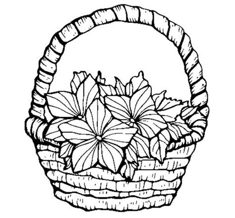 lovely flowers  basket  flowers coloring pages  place  color