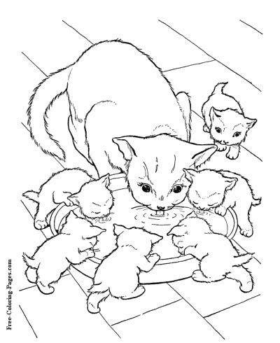 coloring pages  cats