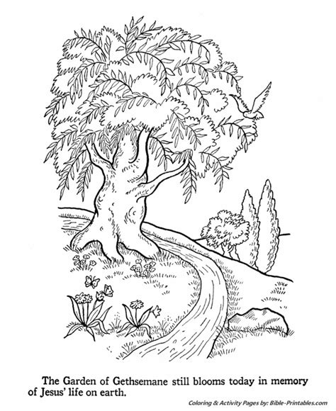 bible life  times coloring pages gethsemane garden bible printables