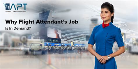 why flight attendant s job is in demand apt advantage