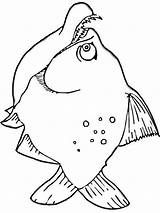 Piranha Coloring Pages Piranhas Fish Color Print Recommended Designlooter Library Clipart Printable sketch template
