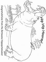 Hippo Coloring Library sketch template
